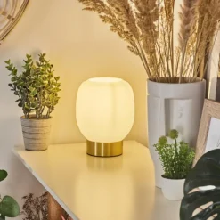 Lampe de table Pintacura Laiton, 1 lumière