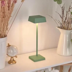 Lampe de table Algeraz LED Vert, 1 lumière