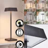 Lampe de table Algeraz LED Noir, 1 lumière