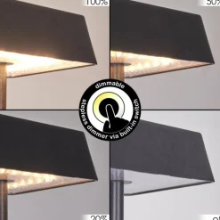 Lampe de table Algeraz LED Noir, 1 lumière