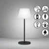 Lampe de table FHL easy Flus LED Noir, 1 lumière
