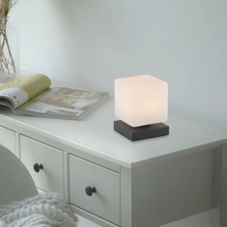 Lampe de table Paul Neuhaus DADOA LED Anthracite, 1 lumière