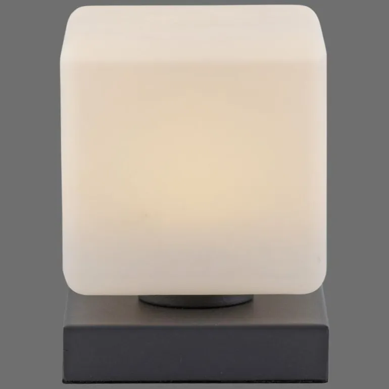 Lampe de table Paul Neuhaus DADOA LED Anthracite, 1 lumière