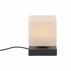 Lampe de table Paul Neuhaus DADOA LED Anthracite, 1 lumière