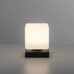 Lampe de table Paul Neuhaus DADOA LED Anthracite, 1 lumière