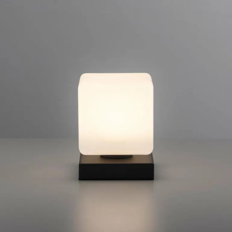 Lampe de table Paul Neuhaus DADOA LED Anthracite, 1 lumière
