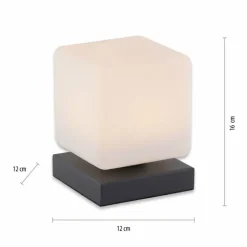 Lampe de table Paul Neuhaus DADOA LED Anthracite, 1 lumière