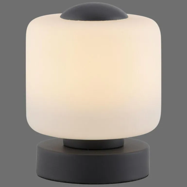 Lampe de table Paul Neuhaus BOTA LED Anthracite, 1 lumière