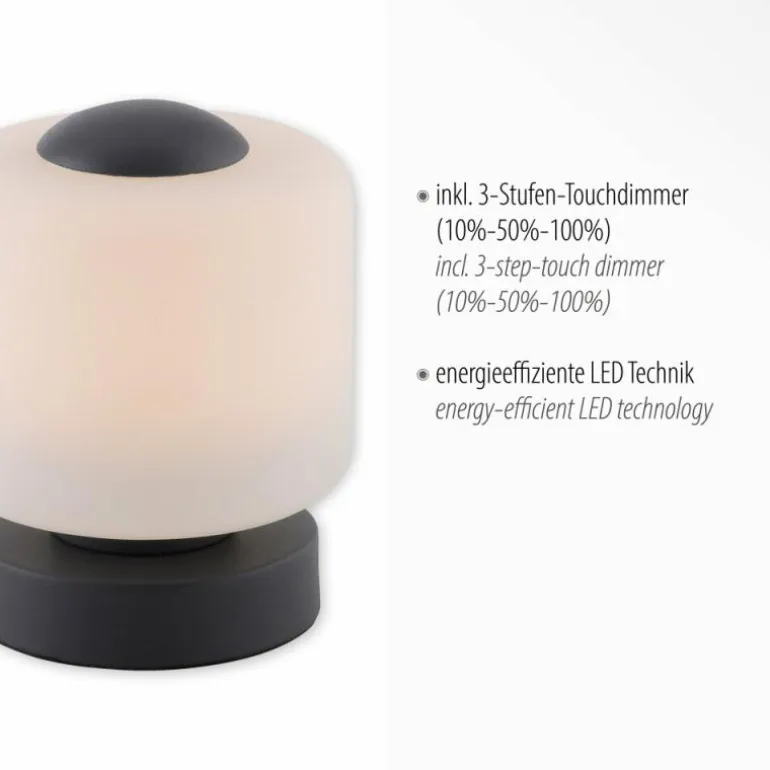 Lampe de table Paul Neuhaus BOTA LED Anthracite, 1 lumière