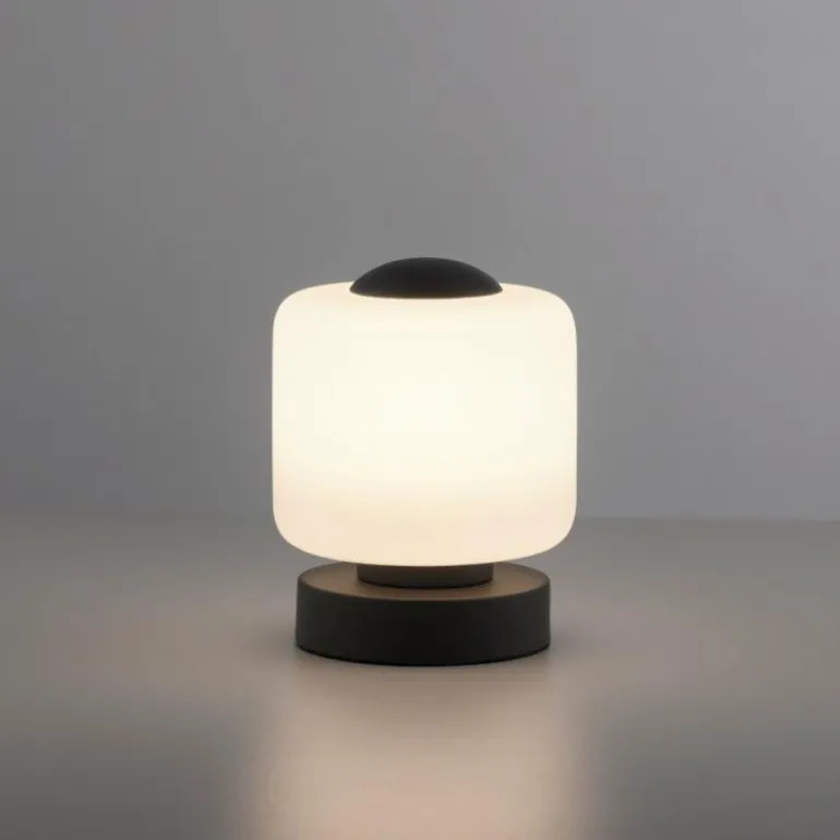 Lampe de table Paul Neuhaus BOTA LED Anthracite, 1 lumière