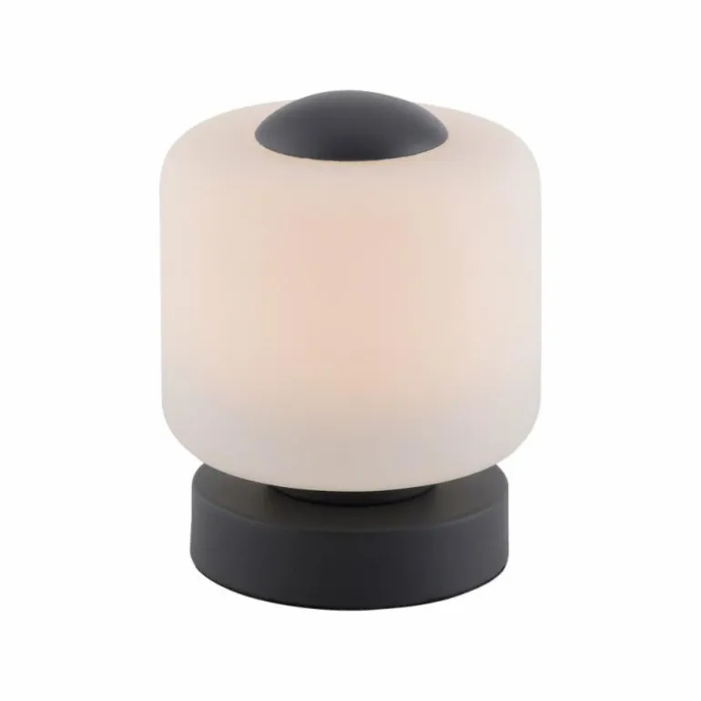 Lampe de table Paul Neuhaus BOTA LED Anthracite, 1 lumière