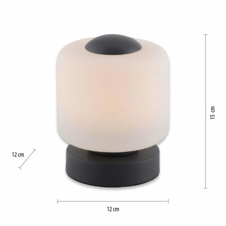 Lampe de table Paul Neuhaus BOTA LED Anthracite, 1 lumière