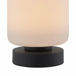Lampe de table Paul Neuhaus BOTA LED Anthracite, 1 lumière