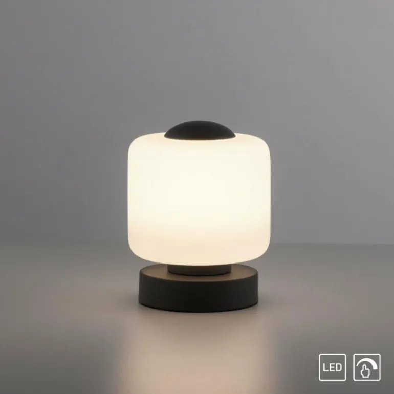 Lampe de table Paul Neuhaus BOTA LED Anthracite, 1 lumière