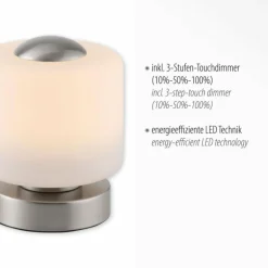 Lampe de table Paul Neuhaus BOTA LED Acier brossé, 1 lumière