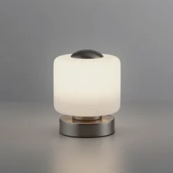Lampe de table Paul Neuhaus BOTA LED Acier brossé, 1 lumière