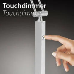 Lampe de table Paul Neuhaus BOTA LED Acier brossé, 1 lumière