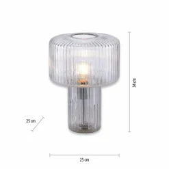 Lampe de table Paul Neuhaus FUNGUS Transparent, 1 lumière