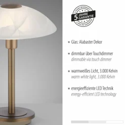 Lampe de table Paul Neuhaus ENOVA LED Vieux laiton, 1 lumière