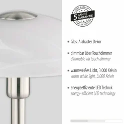 Lampe de table Paul Neuhaus ENOVA LED Argenté, 1 lumière