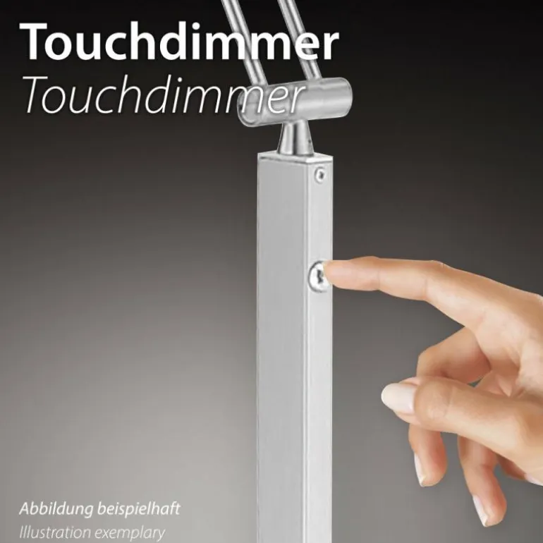 Lampe de table Paul Neuhaus ENOVA LED Laiton, 1 lumière