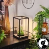 Lampe de table Ranquile LED Noir, 2 lumières