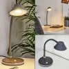 Lampe de table Shreveport LED Anthracite, Blanc, 1 lumière