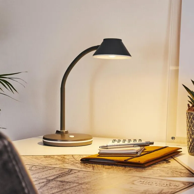 Lampe de table Shreveport LED Anthracite, Blanc, 1 lumière