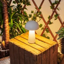 Lampe de table Telve LED Blanc, 1 lumière
