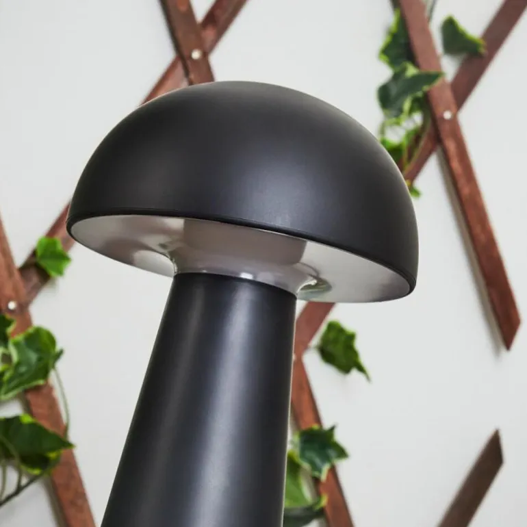 Lampe de table Telve LED Blanc, 1 lumière