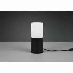 Lampe de table Trio-Leuchten Robin Noir, 1 lumière