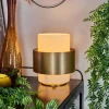 Lampe de table Vegreville Laiton, 1 lumière