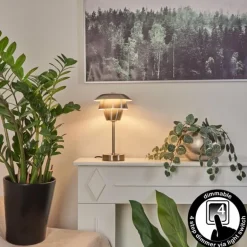 Lampe de table Wacissa Nickel mat, 1 lumière