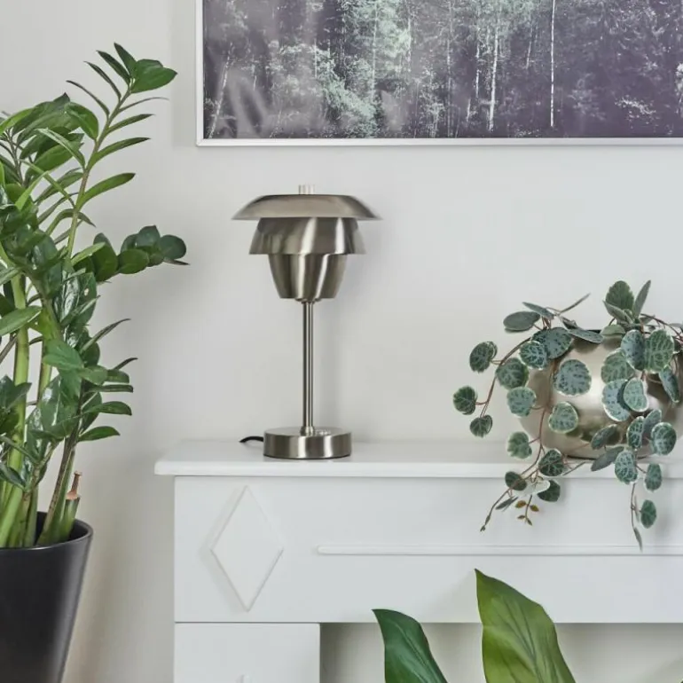 Lampe de table Wacissa Nickel mat, 1 lumière