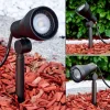Lampe d'extérieur Vordingborg LED Noir, 1 lumière
