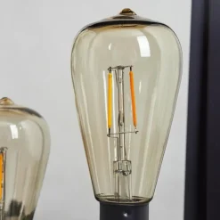 lampe solaire Sciolze LED Noir, Transparent, 2 lumières