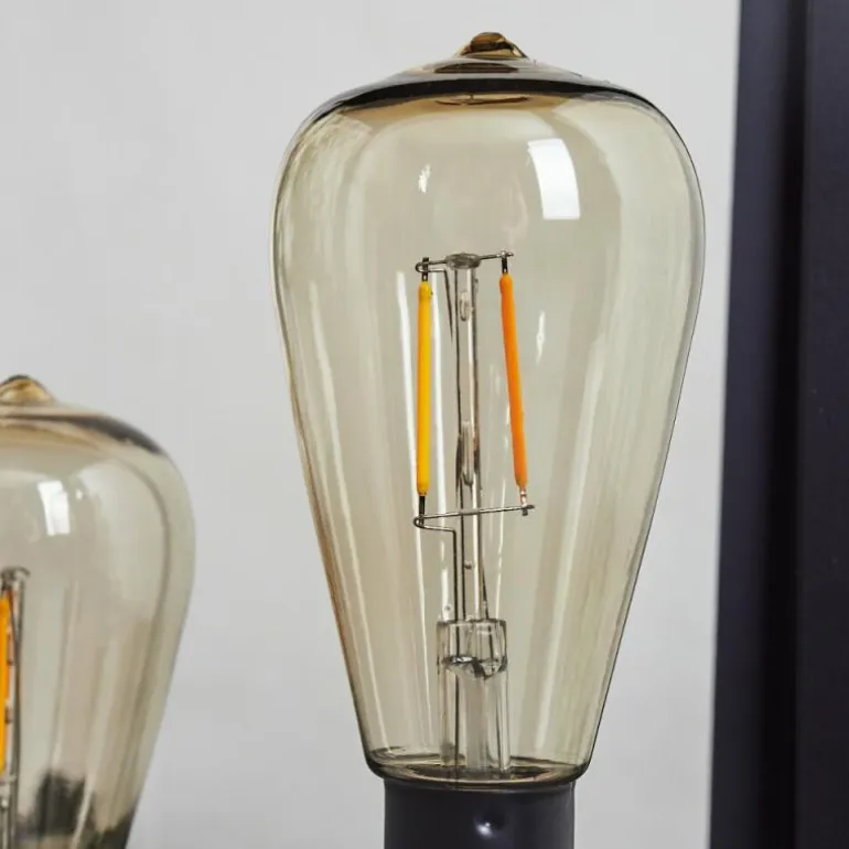 lampe solaire Sciolze LED Noir, Transparent, 2 lumières