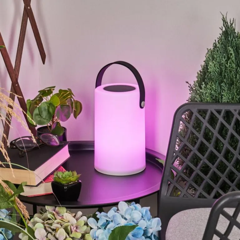 Lampe solaires Acebal LED Noir, Blanc, 1 lumière, Changeur de couleurs