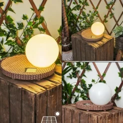 Lampe solaires Centrache LED Brun, 1 lumière