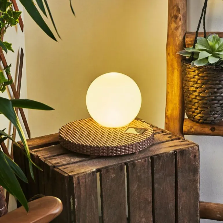 Lampe solaires Centrache LED Brun, 1 lumière