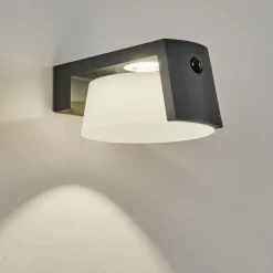Lampe solaires Lafite LED Anthracite, 1 lumière, Détecteur de mouvement