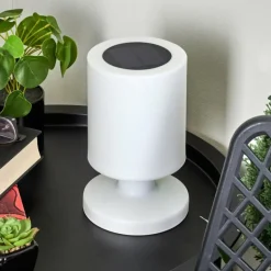 Lampe solaires Pontaut LED Blanc, 1 lumière