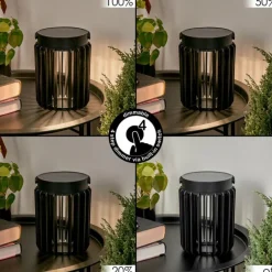Lampe solaires Rossina LED Noir, 1 lumière