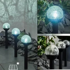 Lot de 3 lampes solaires Colognole LED Noir, 1 lumière