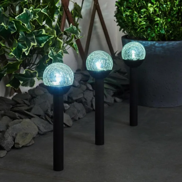 Lot de 3 lampes solaires Colognole LED Noir, 1 lumière