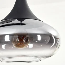 Maynal Suspension, Boule lumineuse, Suspension Clair, Fumé, 6 lumières