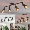Medelim Plafonnier Clair, Fumé, 4 lumières