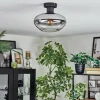 Mertola Plafonnier Clair, Fumé, 1 lumière