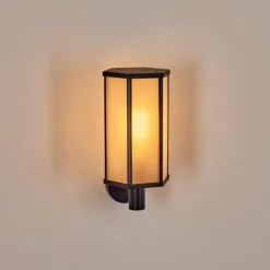 Monfanim Lampe murale d´extérieur Noir, 1 lumière