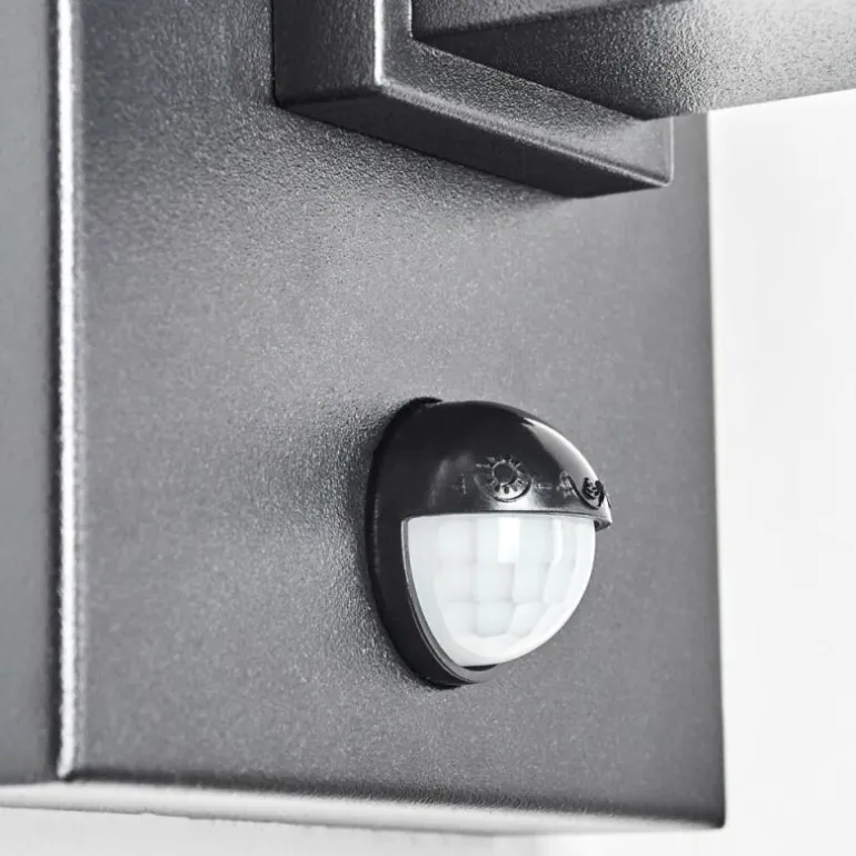 Monfanim Lampe murale d´extérieur Noir, 1 lumière